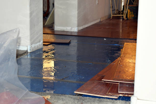 Professional Flood Damage Repair technician working in Panama, OK